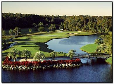 Course Review – Disney Palm | Tampa Bay Area Sports Blog